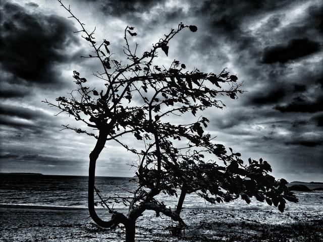 实拍一位职业婚恋猎头，爱情猎头百科（包你走进爱情的坟墓）