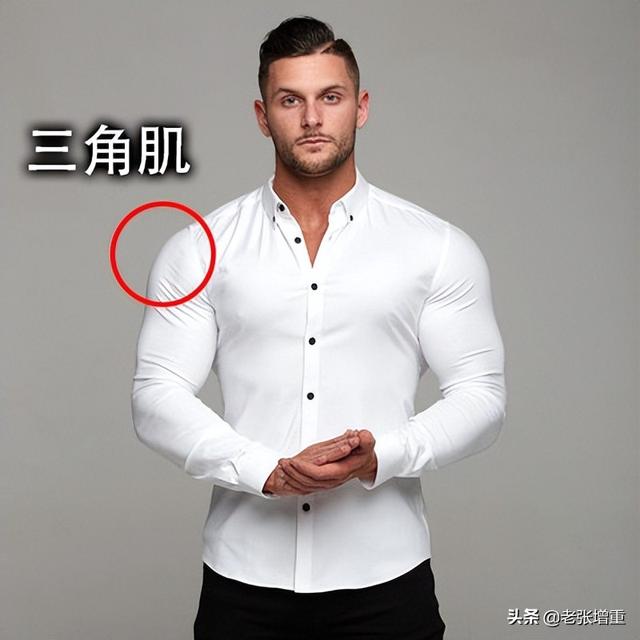 男生该如何正确健身，男士如何健身（想增重应该练哪些肌肉）