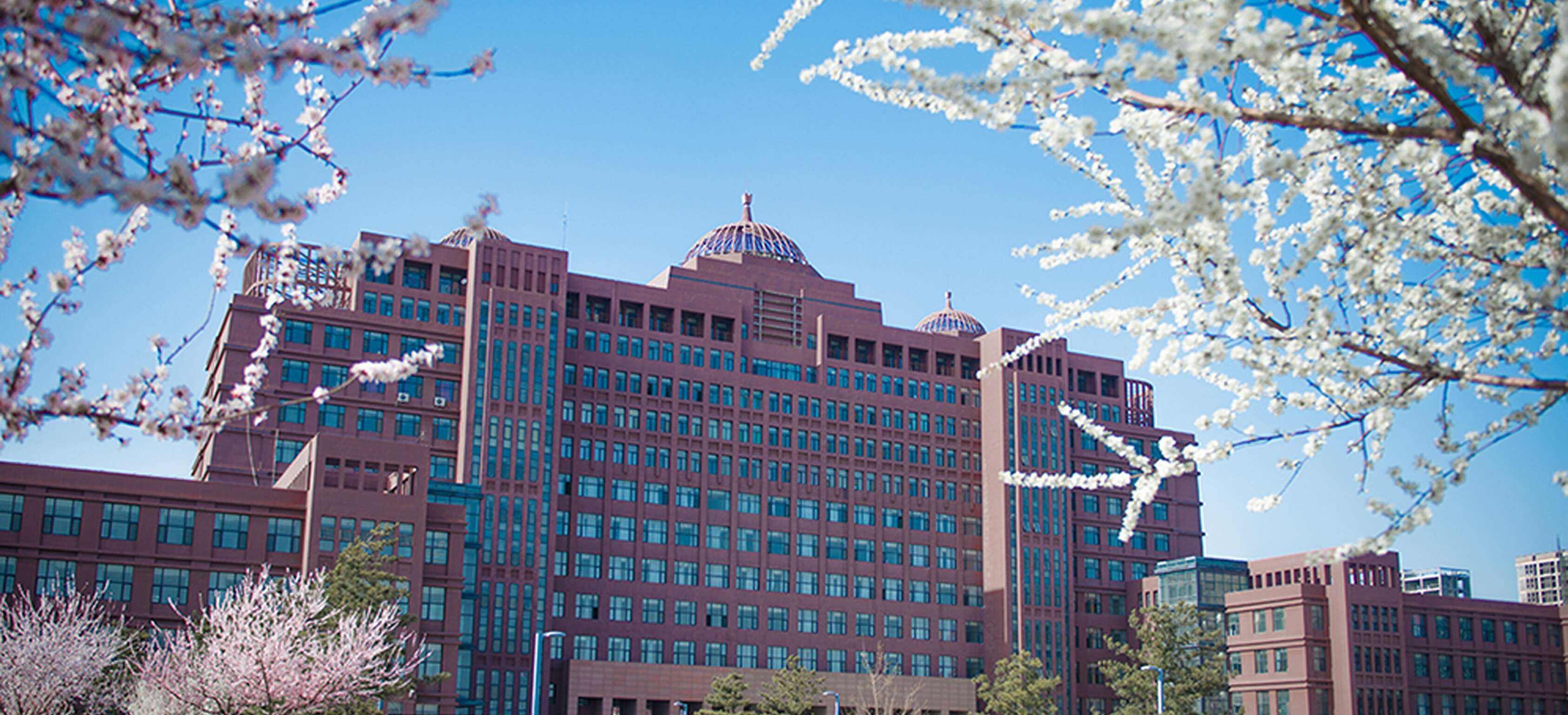 考研b类地区的学校,研究生b线有哪些学校(来看看这10所宝藏b区院校)