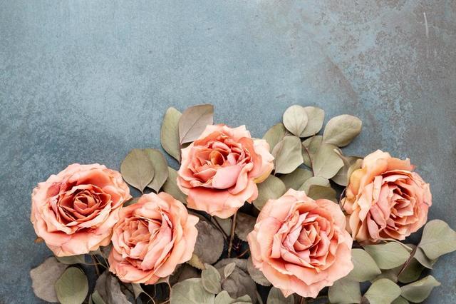 取悦自己是什么意思，的意思是什么（有一种聪明的生活方式）