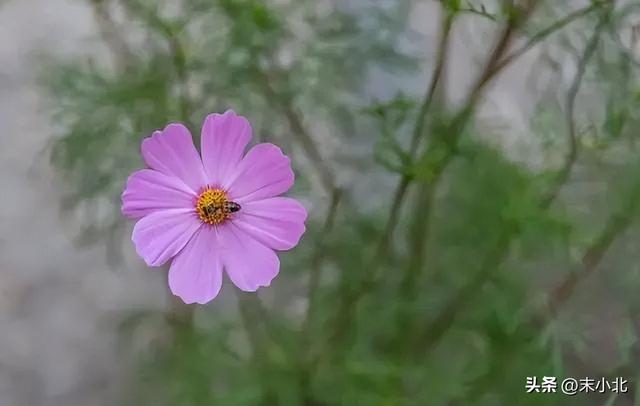 个人特质有哪些，一个人的特质有哪些（往往有以下五个特点）