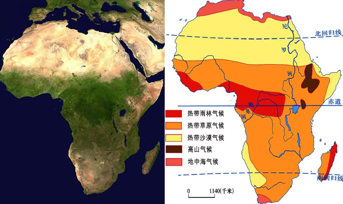世界十大茶叶出口国是哪十个（茶叶出口最多的国家）