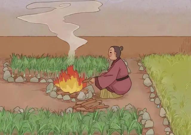 冻肉怎么做酸菜白肉，冻肉怎么做酸菜白肉好吃（传承了3000年的老坛酸菜）