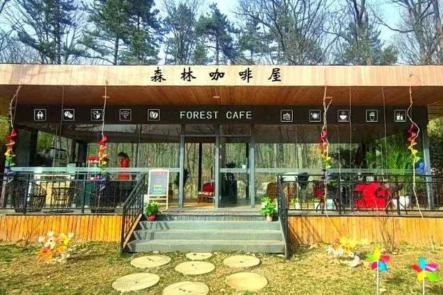 朱雀国家森林公园，陕西翠华山朱雀国家森林公园（玩转朱雀国家森林公园）