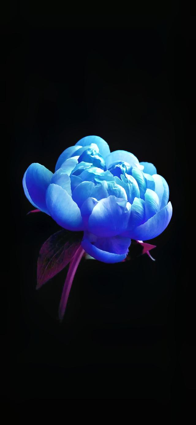 求一张黑色背景图片(原图壁纸:黑色炫酷背景)