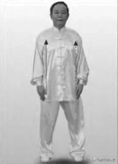 杨式太极拳野马分鬃图解，四十二式太极拳野马分鬃详解（24式太极拳图解说明和要点）