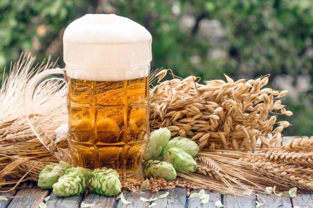 酒花浸膏是什么,酒花浸膏对身体危害(如果原料表中多于4种原料)