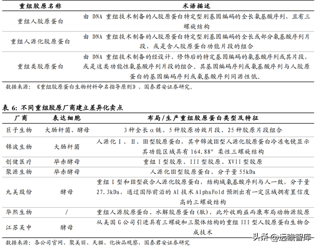 三型胶原蛋白导入危害，三型胶原蛋白导入的效果维持多长时间（析胶原产业链机理）