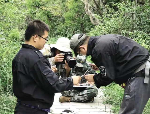 蛇岛的中国蛇岛，中国境内的蛇岛（2万毒蛇齐聚0.8平方公里小岛）