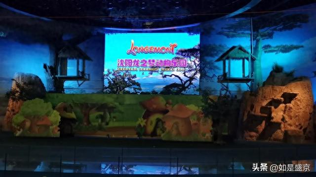 沈阳龙之梦动物乐园，在室内，有空调，妥妥的遛娃圣地
