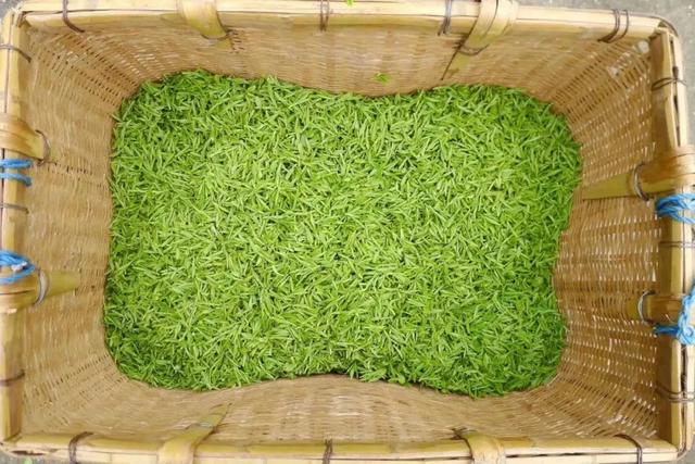 普陀山旅游攻略最新，普陀山旅游攻略2021（期待与你在普陀山朱家尖的邂逅~）