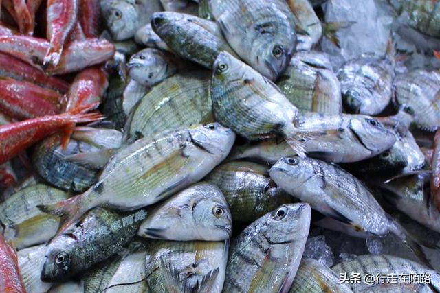 黑海为什么叫黑海，黑海现在情况怎么样（不仅仅因为海水黑，还很危险）