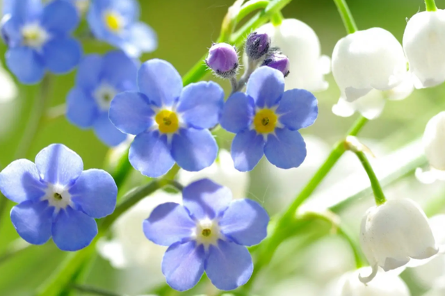 十二星座未来的职业，十二星座未来适合什么职业（工作勤恳认真）