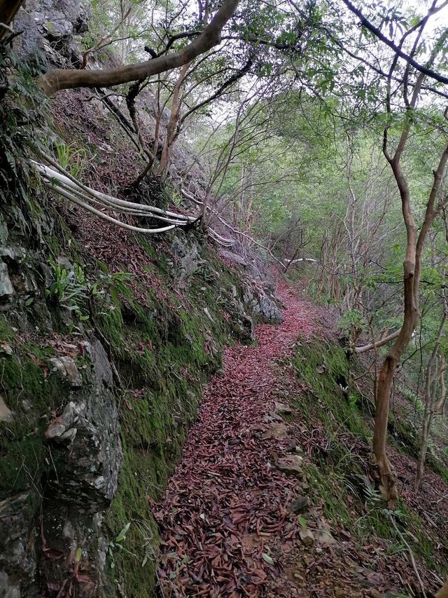 大自然的搬运工，大自然的搬运工是什么动物（大自然的搬运工是什么动物日记）