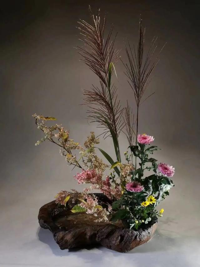 石蒜的主要特征就和种植要点详情介绍,石蒜生长环境和特点(出暑啦