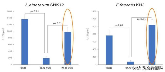 植物脂肪粉是什么东西，日本分散型植物乳酸菌粉