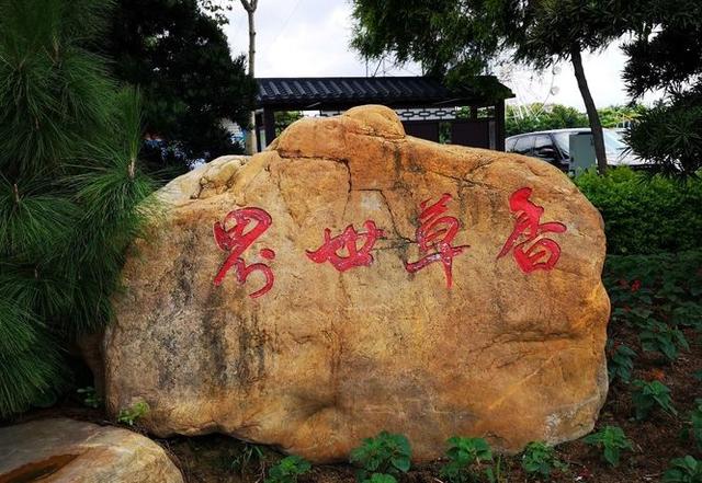 广州景点排行榜前十名，广州旅游景点排名前十（广州十大冷门景点）