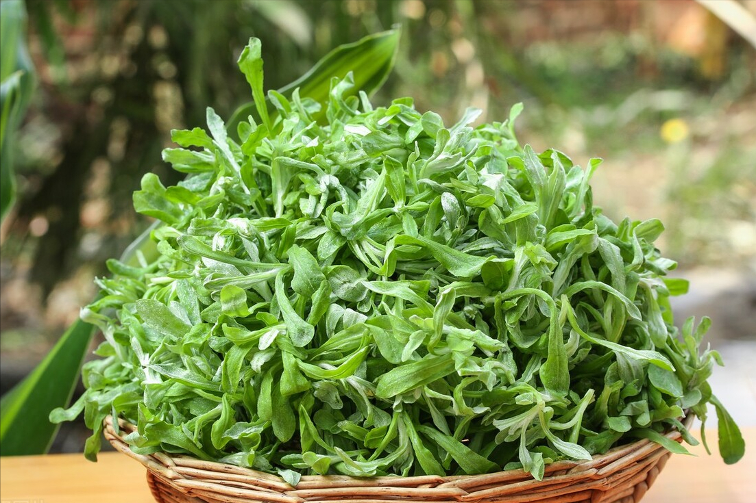 绿什草(清明节做青团用啥草) - 好工作