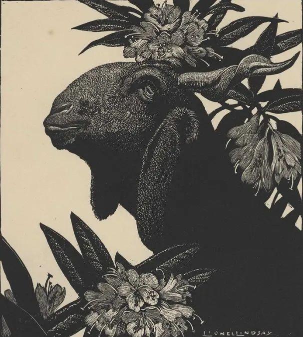 用来比喻爱情的动物，用动物比喻爱情的句子（也该成为四川人的恋爱标配）