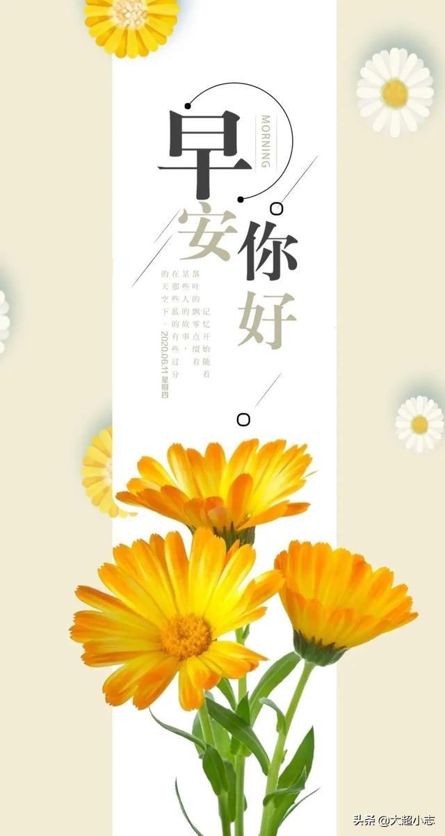 给客户发周末问候短信，周五给客户发短信问候（2022.6.25早安正能量祝福语）