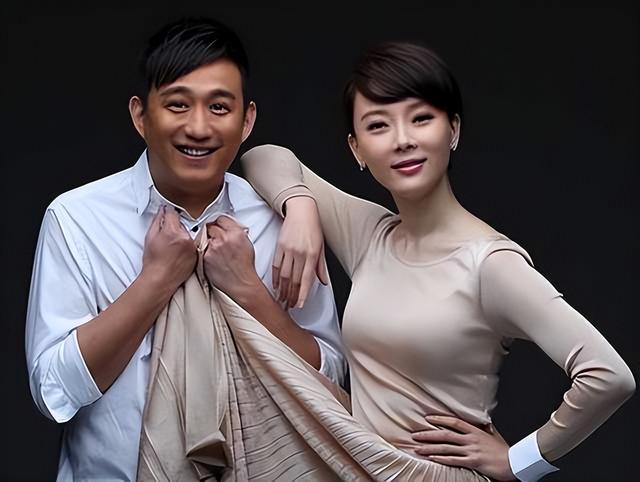 黄磊和陈数合作的电视剧什么名字，陈数黄磊演的电视剧叫什么名字（黄磊陈数演绎唐鹏林君的《夫妻那些事》）