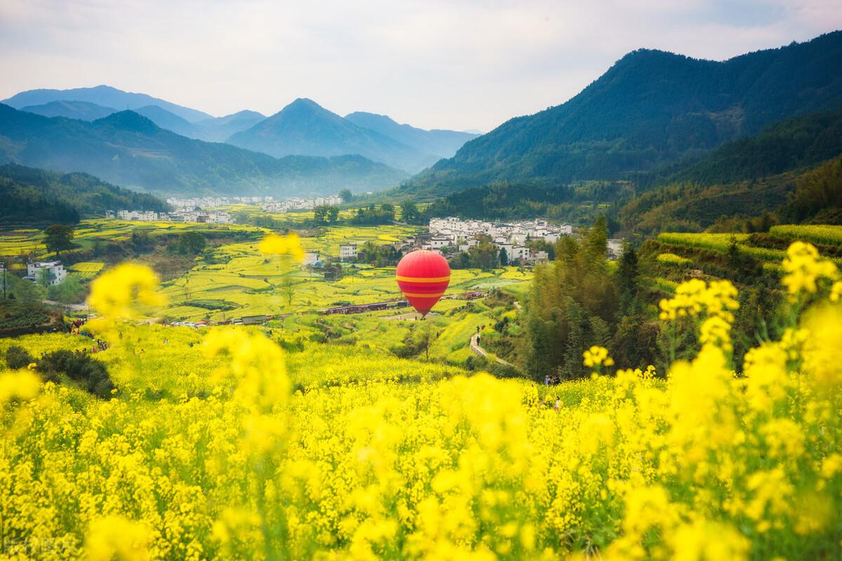 包車去西衝多少錢(全網最詳細婺源自駕賞油菜花攻略) - 價格百科