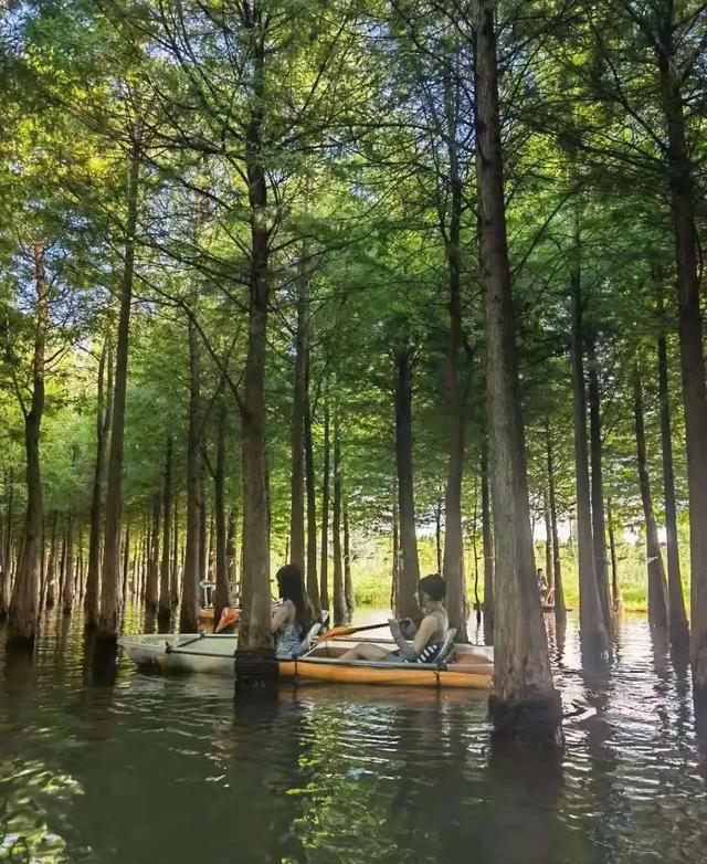 昆明一日游最佳景点一览表，昆明32个最适合一日游的免费景点（四季如春的昆明很适合旅游）