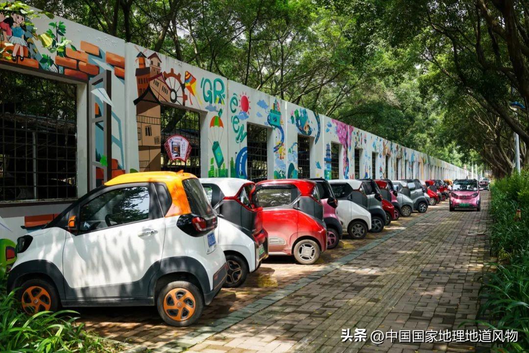 柳州是哪个省(柳州是大城市还是中小城市)