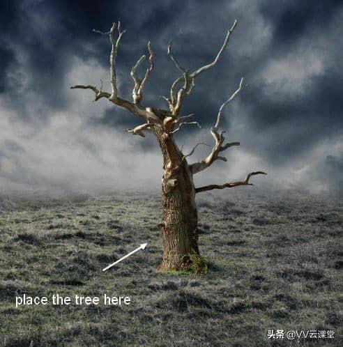 如何在PS中建立透明背景图层，ps怎么添加透明图层（中创建带有月亮的树的超现实图稿）