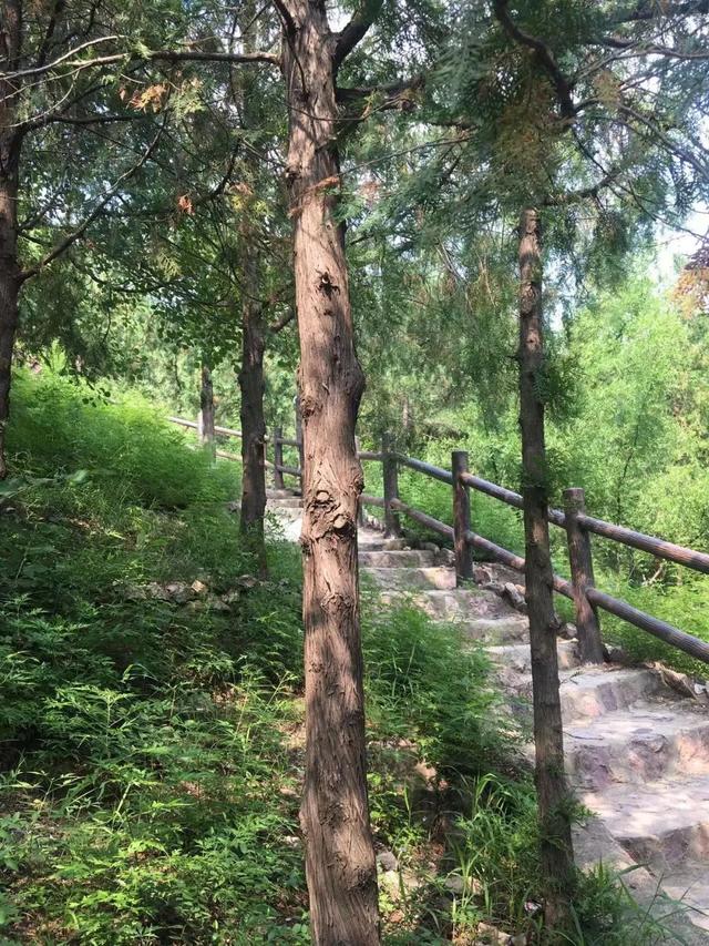 北京带孩子玩的地方推荐，北京小宝宝周末遛娃必备好去处（带娃去京郊这4个天然氧吧游山戏水~）