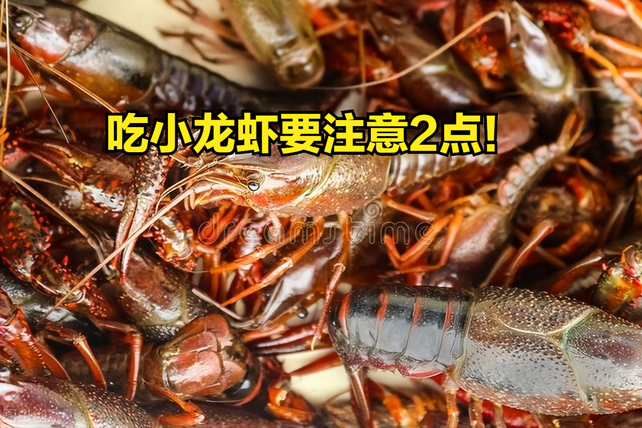 小龙虾价格跌破10元/斤！鲜活肥美超值抢购，吃货速来囤货享受夏日美味盛宴