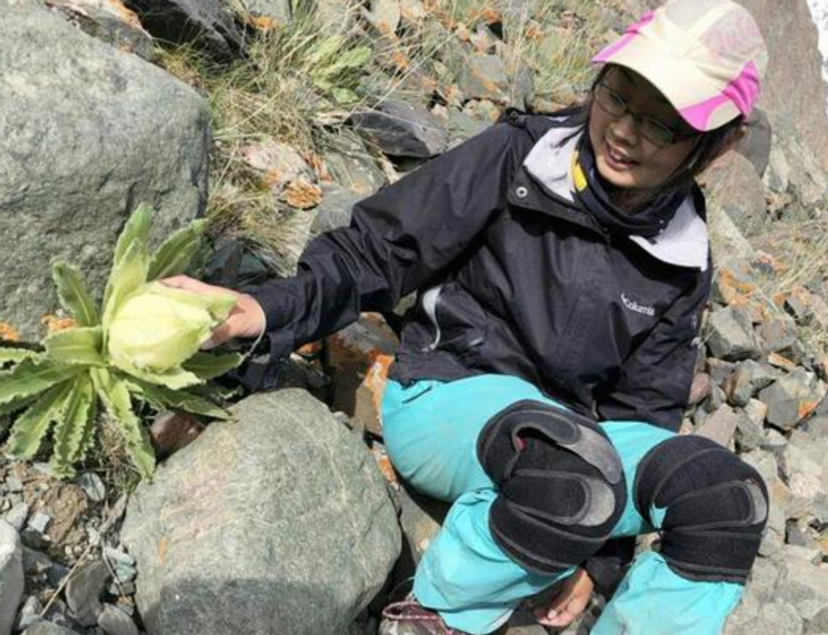 星芽（95后女诗人星芽登山时不幸遇难）