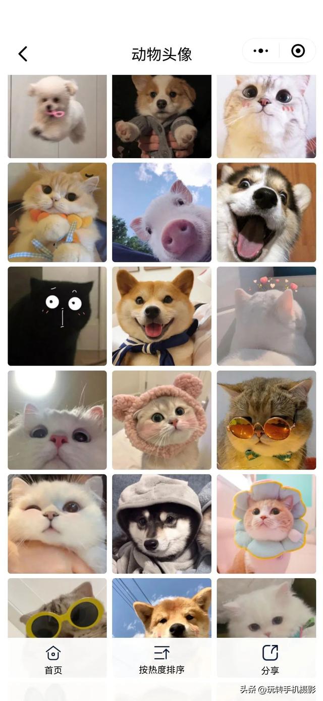 好看一点的头像，超好看的头像哦（好看不撞款的微信头像）