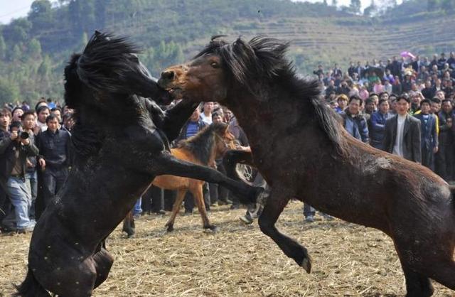 广西旅游地图全图，广西自由行5天游玩攻略（广西周边自驾游最有特色的好去处推荐）