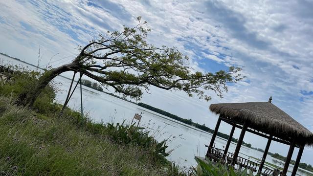 上海到青岛多远，上海到青岛的路程（上海青岛往返1400公里全程无高速沿途城市蜻蜓点水游）