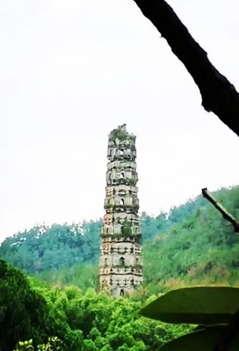 天台国清寺简介，天台山国清寺（天台国清寺）