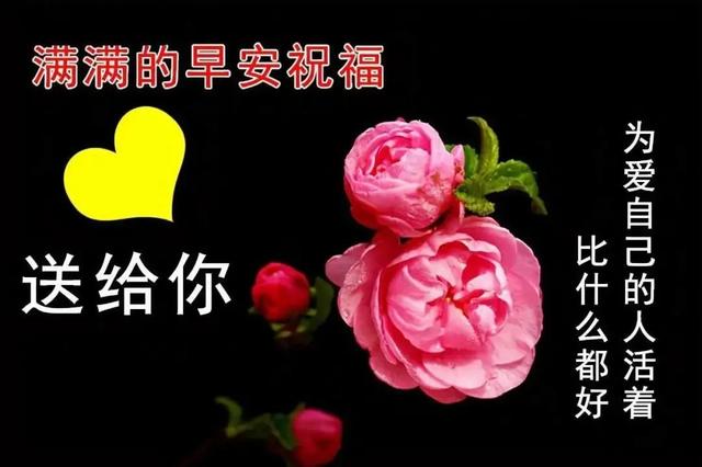 我今天为你祝福，我今天为你祝福歌词（感恩有你早晨问候祝福语）