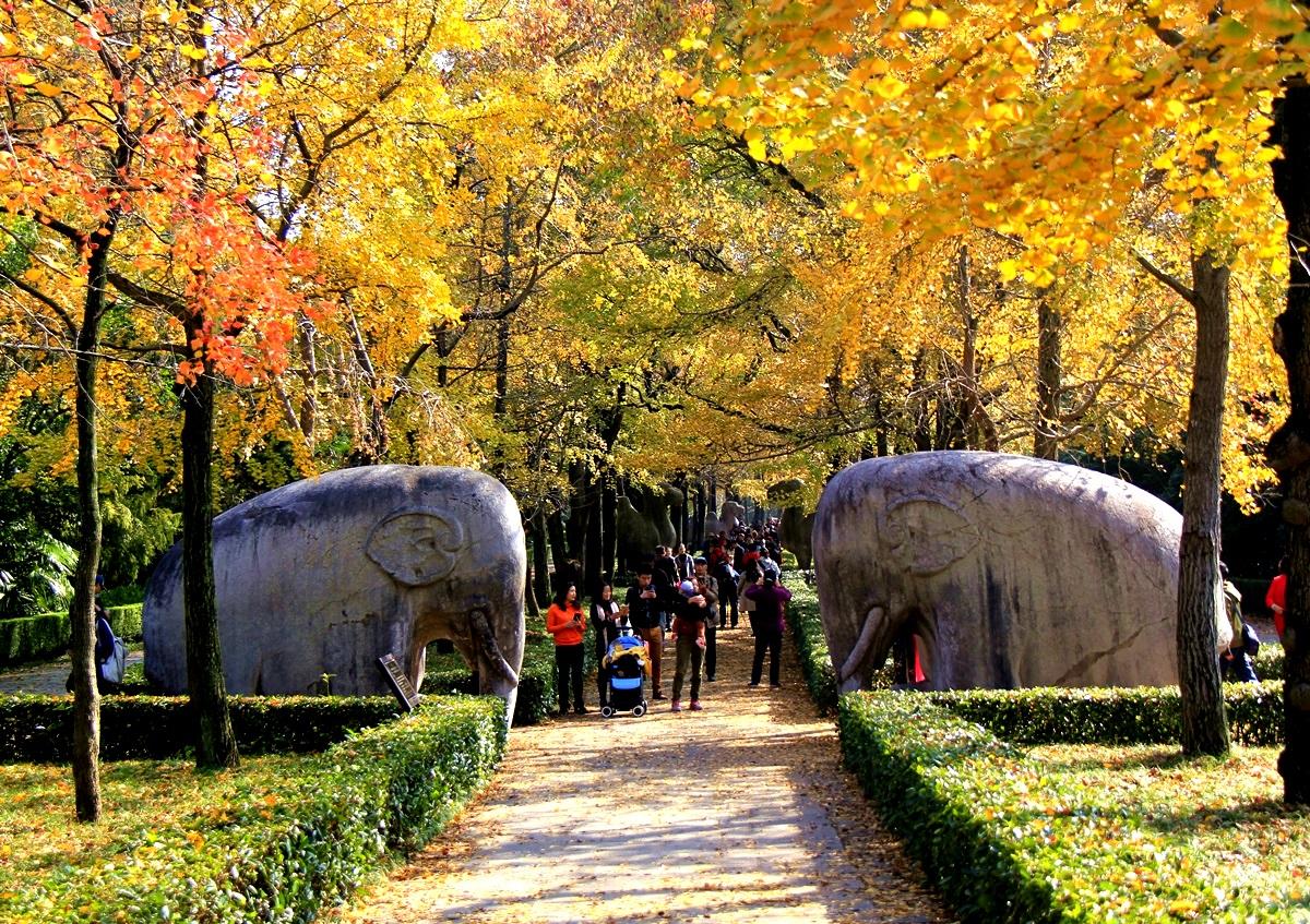 南京钟山风景区