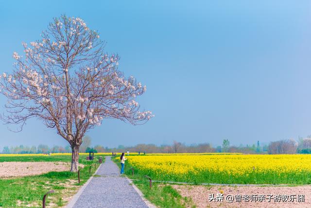 西安汉城湖公园，西安汉城湖景区景点介绍（2023西安旅游值得去的30个景区大全）