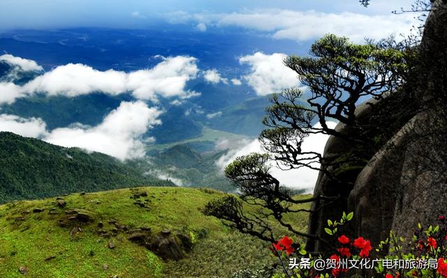 贺州温泉的主要景点，贺州的温泉有哪些（在这里，每一处风景都值得回味）