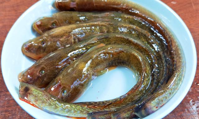 武昌鱼怎么做好吃，干烧武昌鱼的做法（炖豆腐吃特别香）