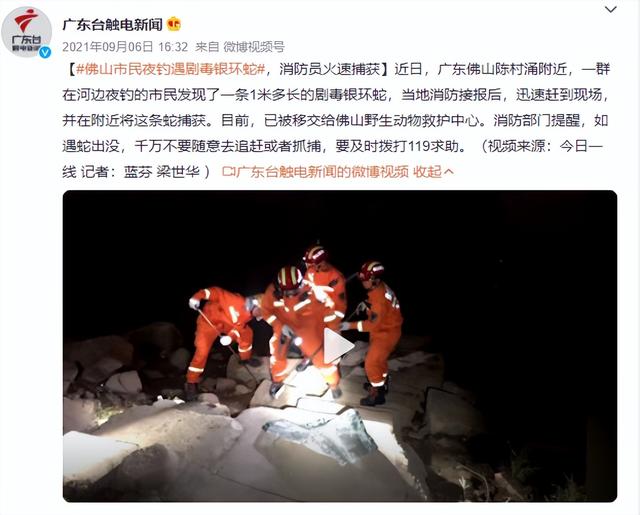 梦见蛇缠脚是什么意思，女人做梦梦到蛇缠脚是什么意思（男子睡梦中被银环蛇缠脚）