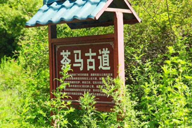 丽江茶马古道-拉市海旅游攻略，丽江旅游必去景点推荐