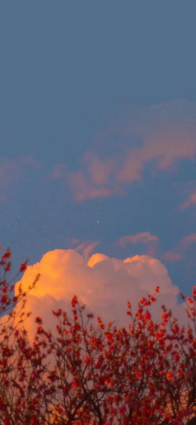 另一种灿烂人生，失恋后活出了另一种灿烂人生的星座（壁纸，灿烂人生）