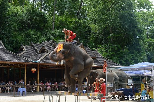 普洱有什么好玩的，普洱市有什么好玩的旅游景点（一张图看懂西双版纳、普洱怎么玩~带详细路书）