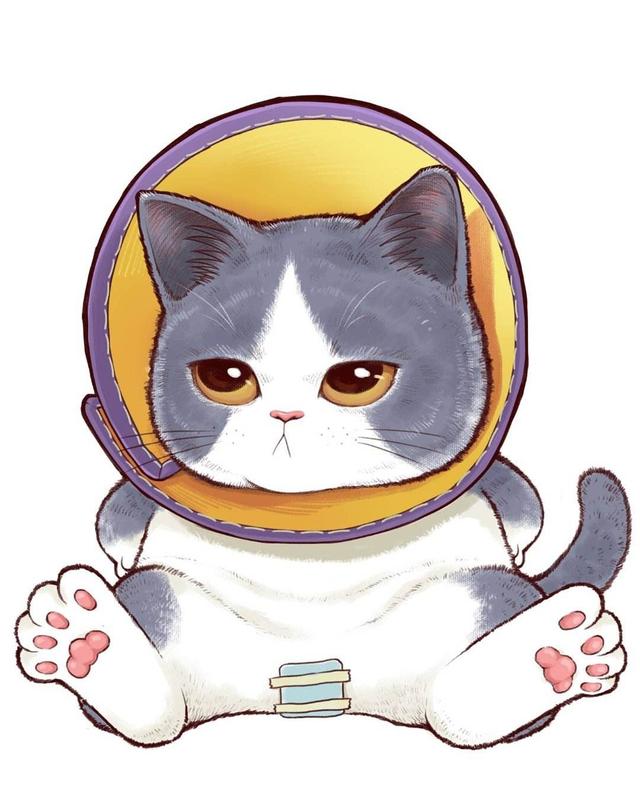 公猫绝育的必要流程是什么，关于猫咪绝育的这些事
