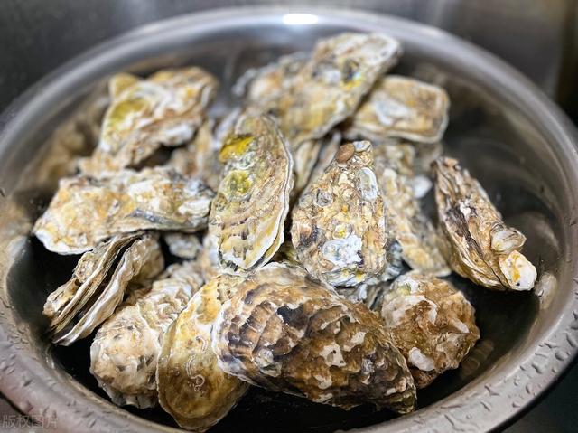 牡蛎和生蚝的区别，鲍鱼牡蛎和生蚝的区别（长得一模一样的生蚝和牡蛎）