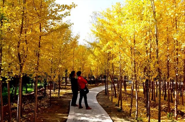 兰州市属于哪个省，兰州市是哪个省的（兰州是当之无愧的一线城市）