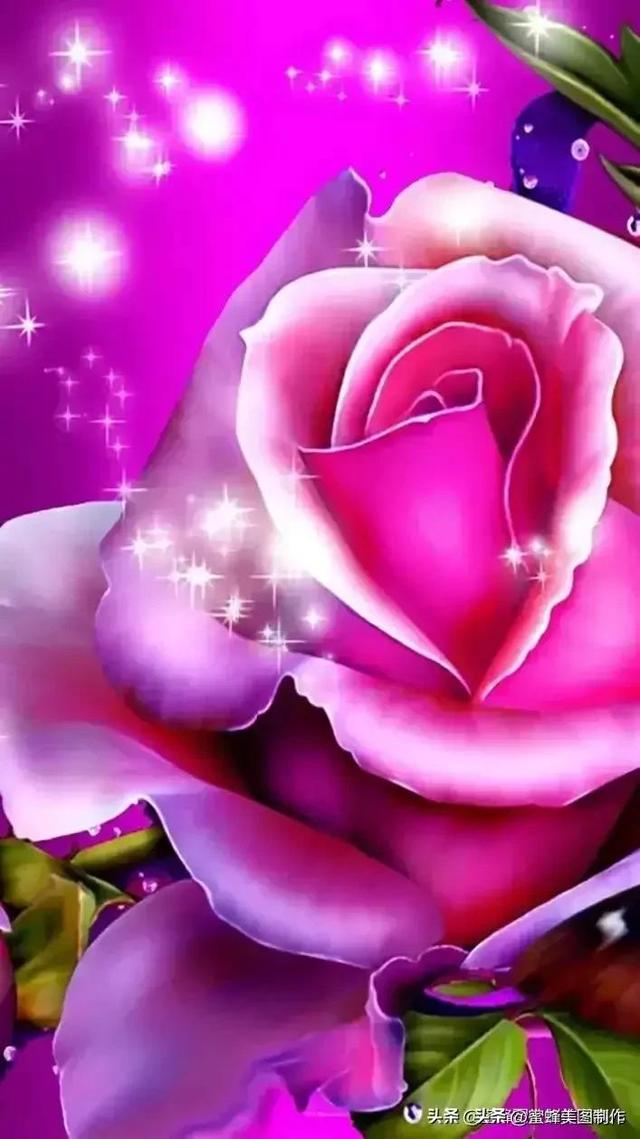 七夕节的图片，七夕浪漫情人节，玫瑰壁纸（七夕节的图片）