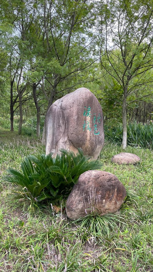 上海到青岛多远，上海到青岛的路程（上海青岛往返1400公里全程无高速沿途城市蜻蜓点水游）